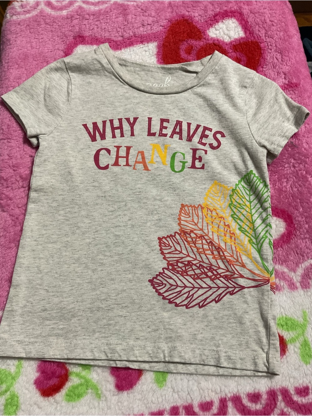 Peek Gray Short Sleeve Tee with Multicolor Leaf Graphic